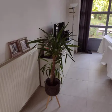 Cocooning Climatise Avec Piscine Et Animaux *