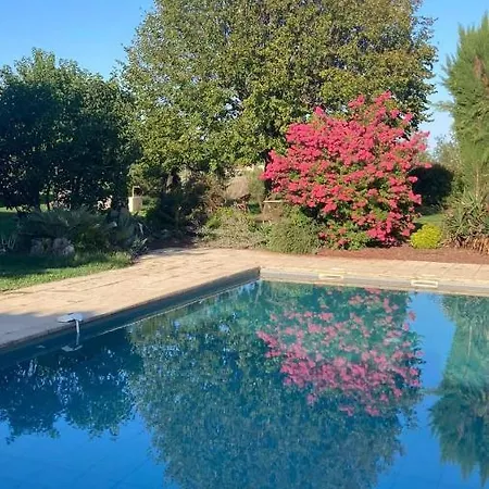 Cocooning Avec Piscine Hébergement de vacances *